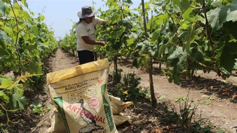 Gobierno amplía hasta el 31 de octubre plazo para comprar fertilizantes