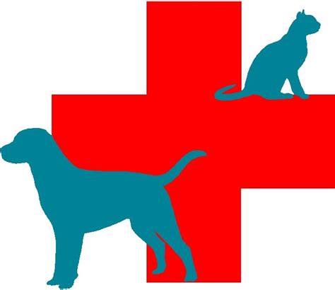 veterinary symbol clipart 10 free Cliparts | Download images on ...