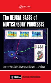 The Neural Bases Of Multisensory Processes Micah M Murray Mark T