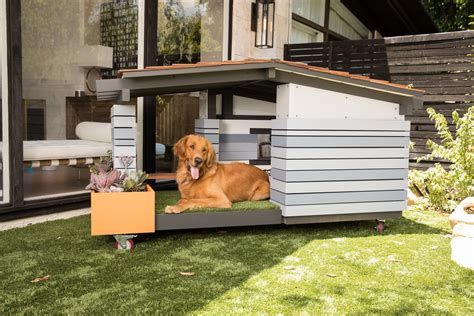 Dog House Luxury Design Retreats Apartment Therapy