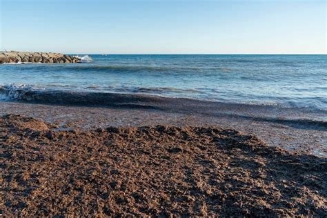 Premium Photo Santo Stefano Al Mare