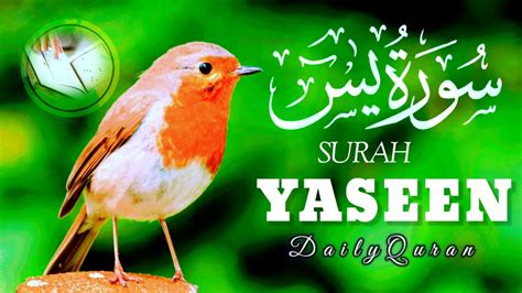 Surah Yaseen Yasin full with Arabic Beautiful recitation سورہ یسین 36