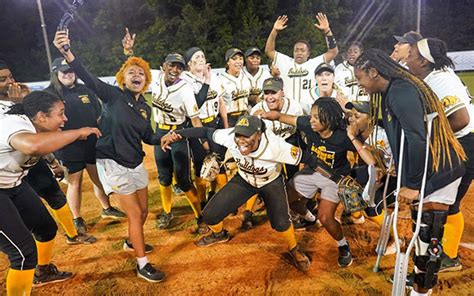 Fun Softball Team Pictures