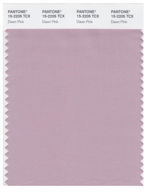 Pantone Smart 15 2205 Tcx Color Swatch Card Dawn Pink Magazine Cafe Store Nyc Usa