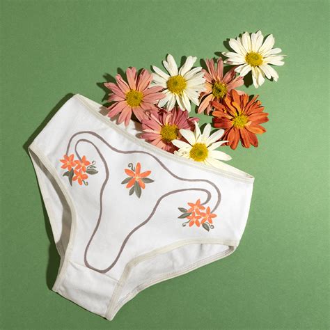 Sustainability Eco Friendly Period Panties Heralogie