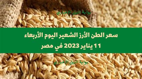 سعر الطن الأرز الشعير اليوم الأربعاء 11 1 2023 في السوق المصري وارتفاع