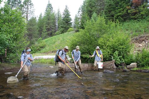 How we monitor steelhead habitat restoration | Idaho Fish and Game