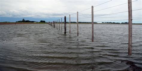 Inundaciones Y Sequía Dejan 43 000 Hectáreas De Cultivos Perdidos En