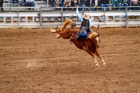 Texas Cowboy Reunion 2024 Schedule Tabby Faustine