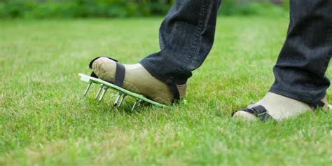 The Top 5 Best Lawn Aerators For A Healthier And Lush Green Lawn