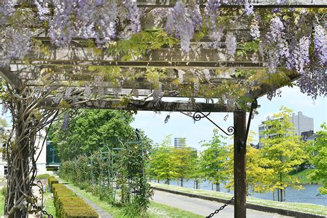 Floral Walkway Parc De La Boverie Li Ge Wallonia Belgiu Bri J