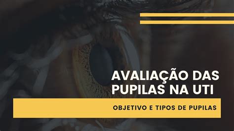 Avalia O Das Pupilas Na Uti Qual O Objetivo E Tipos De Pupilas