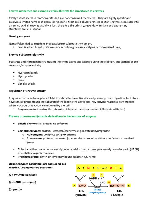 Week Enzymes Summary Notes Enzyme Properties And Examples Which