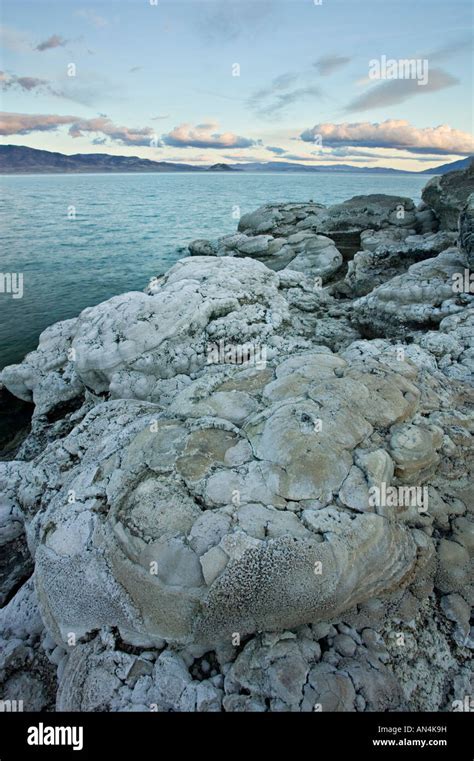 Pyramid Lake In Nevada Stock Photo Alamy