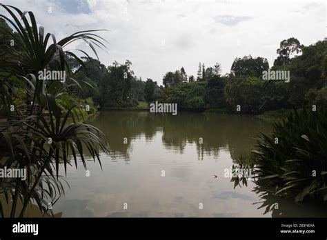 Eco Lake Singapore Botanic Gardens Stock Photo Alamy