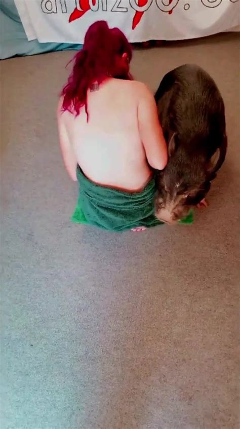 Pig Fuck Girl 8