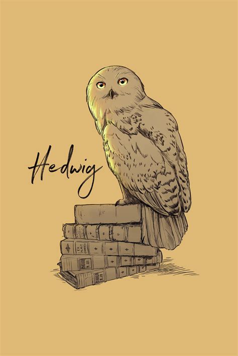 Wall Art Print Harry Potter Hedwig Gifts Merchandise UKposters