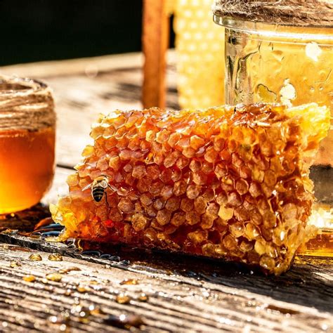 How To Store Fresh Honeycomb | Storables