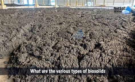 What Are The Various Types Of Biosolids