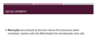 Monocytosis | PPT