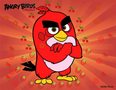 Dibujo De Red De Angry Birds Pintado Por En El Día 05 08 16