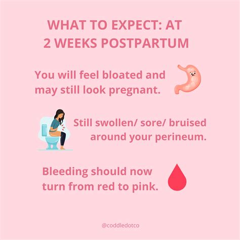 Natural Postpartum Care Essentials Checklist Tips For Fast Recovery