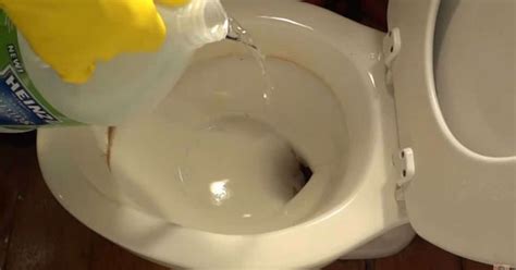 Keep It Clean How To Remove Mineral Stains From Toilet Bowl Using