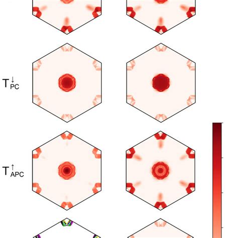 Spin And K Resolved Transmission Spectra At Equilibrium States In