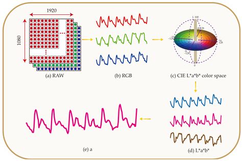 Biosensors Free Full Text A Smartphone Based Biosensor For Non