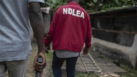 Ndlea Arrests Notorious Drug Kingpin In Abuja