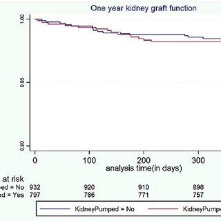 One Year Kaplan Meier Curve Of Graft Survival Stratified By