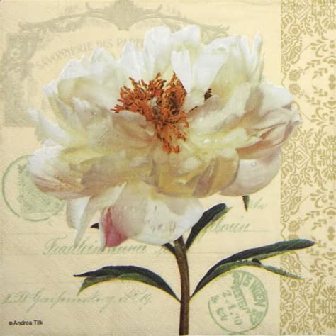 Lunch Napkins 20 Vera Napkin Shop