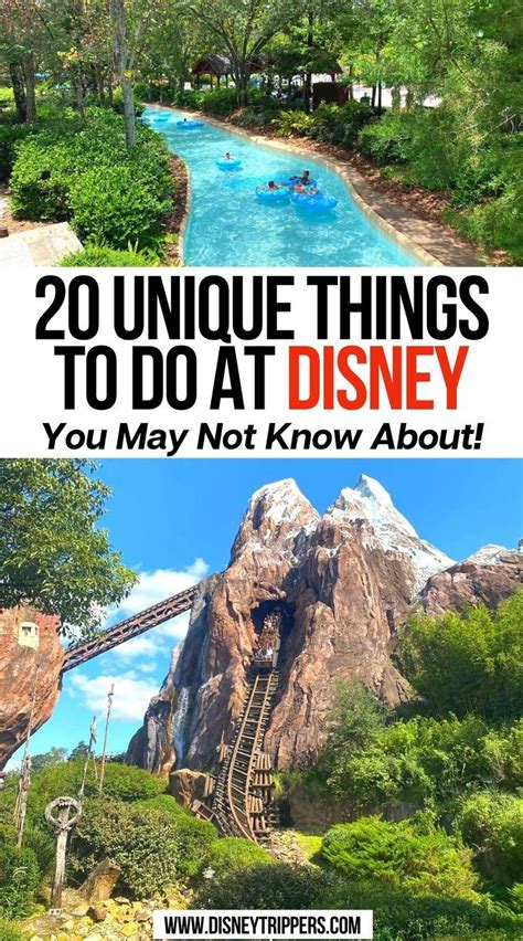 Coolest Things To Do In Disney World Artofit