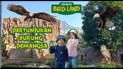 Wisata Baru Di Ancol Jakarta Bird Land Part II Pertunjukan Burung