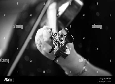 Fiddle String Black And White Stock Photos And Images Alamy