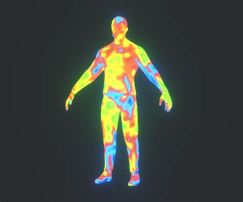 3D Model Collection Human Body Thermal Image Heatmap 3D Model VR / AR / low-poly | CGTrader