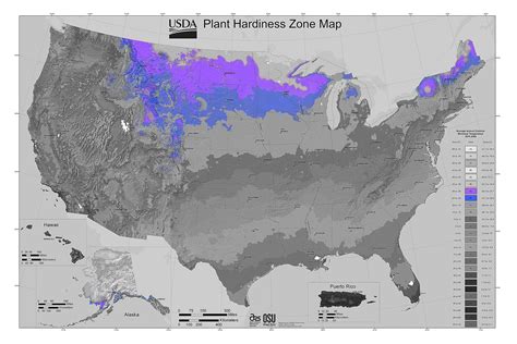 Climate Zone Map Gardening | Fasci Garden