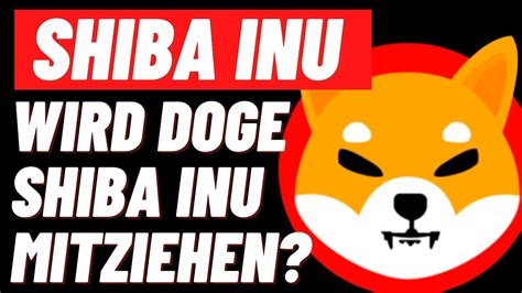 Shiba Inu Coin News Burn Rate steigt extrem Mit Shib zum Millionär