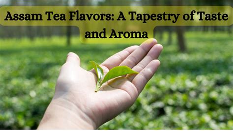 Assam Tea Flavors A Tapestry Of Taste And Aroma