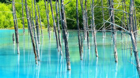 Blue pond, Furano, Kamikawa Subprefecture, Hokkaido, Japan in 2022 ...