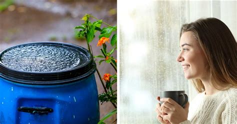 Cómo recolectar y aprovechar el agua de lluvia Ayuda al planeta y