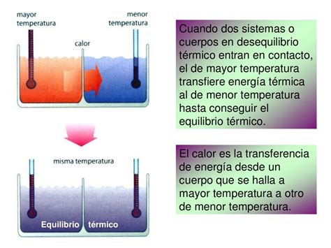 O Que Equilibrio Termico