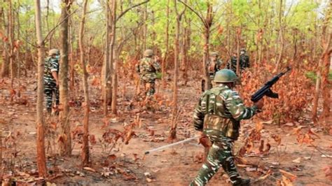 Naxalite Killed In Encounter In Chhattisgarhs Sukma Total Toll 81 In