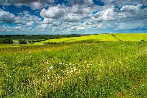 Wallington Hertfordshire 2019 06 14 058 Uk Landscape Photography