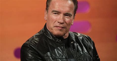 Netflix Arnold Schwarzenegger erhält Spionage Serie GMX CH