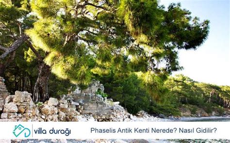 Phaselis Antik Kenti Nerede Nas L Gidilir Villa Dura