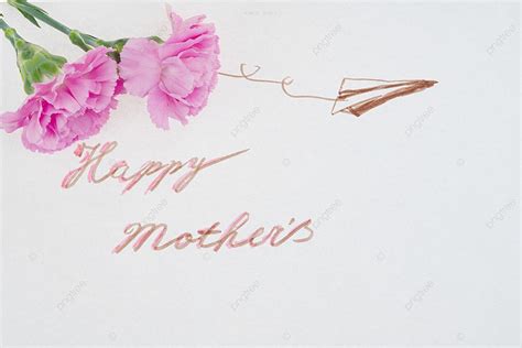 Mother S Day Carnation Photography Picture Background Mother S Day