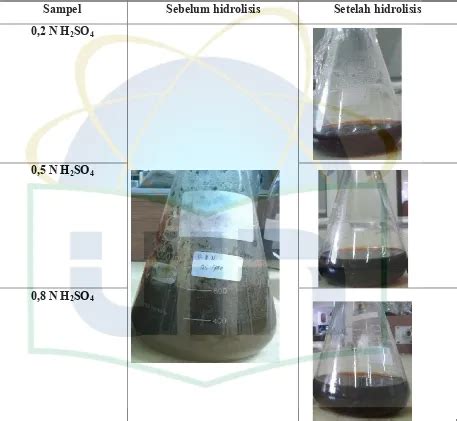 Pengaruh Variasi Konsentrasi Asam Dan Waktu Hidrolisis Terhadap