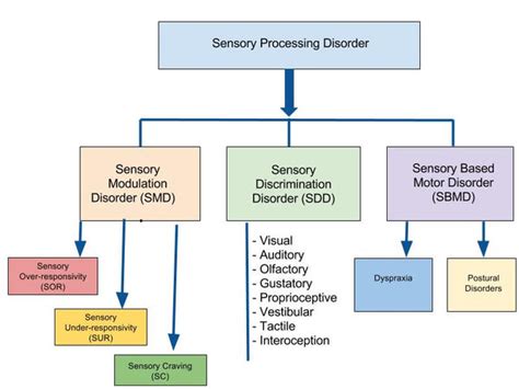 The Ultimate Guide To Sensory Processing Disorder Harkla Blog