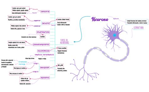 Neurona EOTJMSYEoZ Xmind